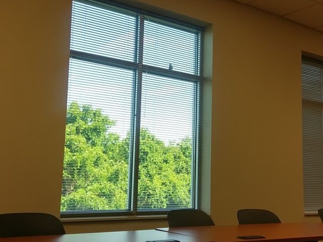 Photo of South University-High Point