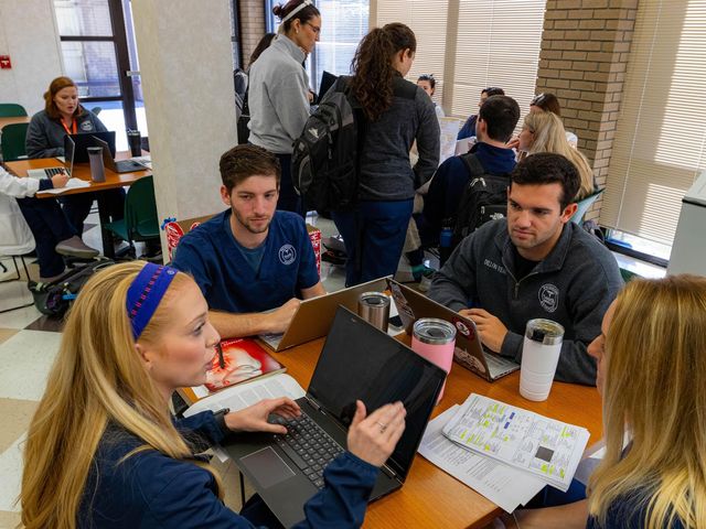 Photo of South University–Savannah Online