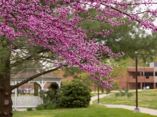 Photo of Southwest Baptist University