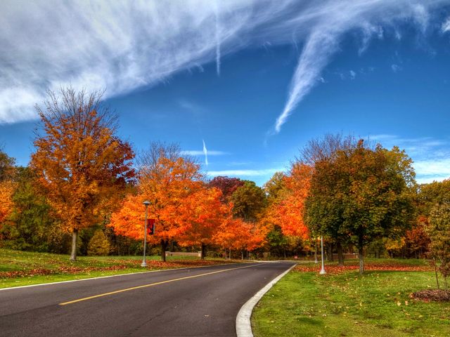 Photo of Southwestern Michigan College