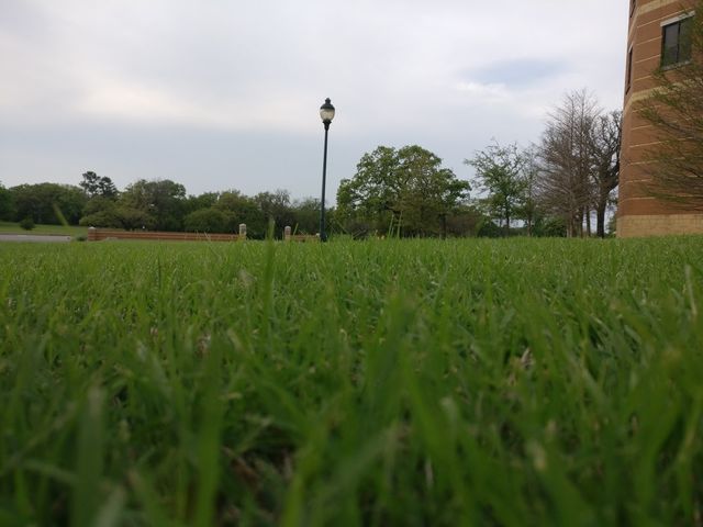 Photo of Southwestern Adventist University