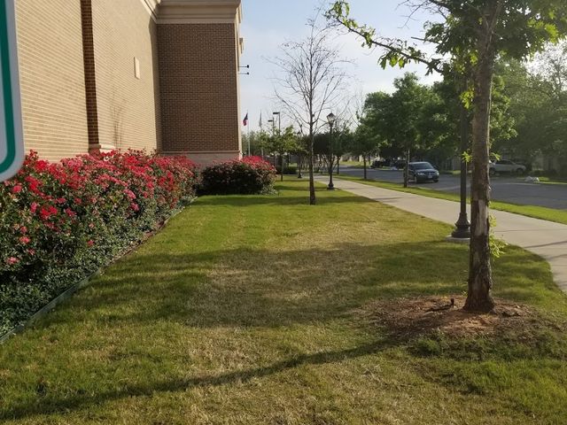 Photo of Southwestern Assemblies of God University