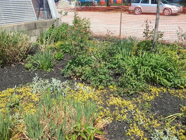 Photo of Southwestern Illinois College