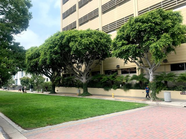 Photo of Southwestern Law School