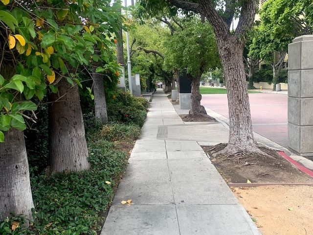 Photo of Southwestern Law School