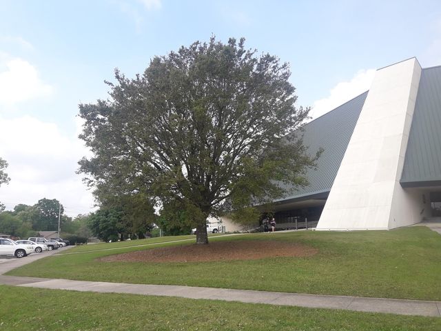 Photo of Southeastern Louisiana University - Destrahan High School