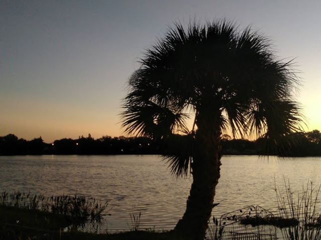 Photo of Southeastern University