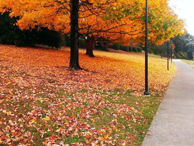 Photo of Southern Adventist University