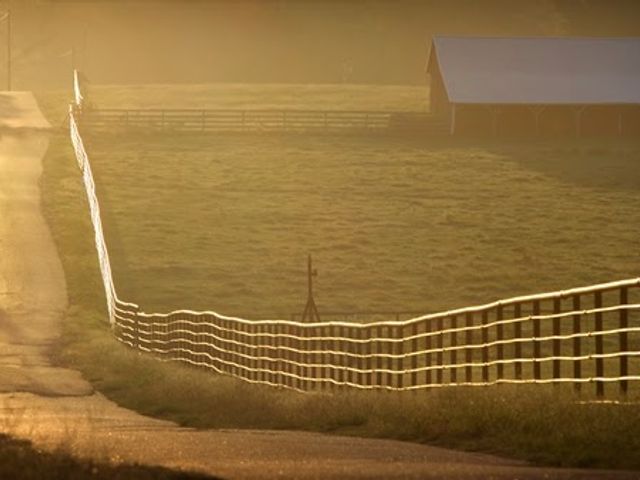 Photo of Southern Arkansas University Main Campus