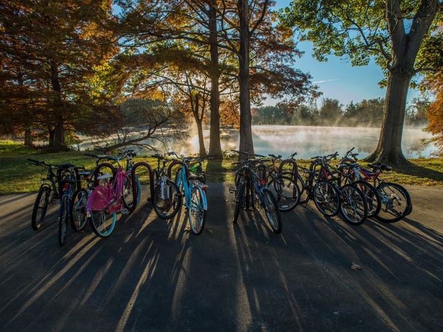 Photo of Southern Illinois University-Carbondale