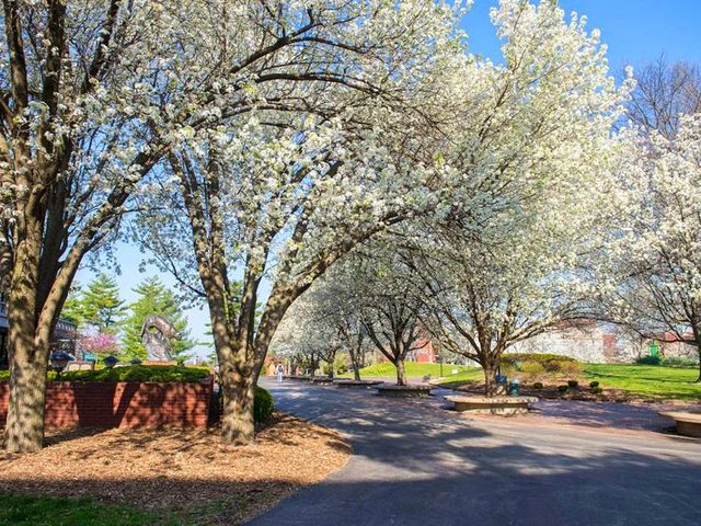 Photo of Southern Illinois University-Edwardsville