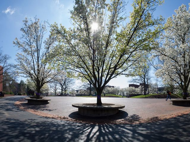 Photo of Southern Illinois University-Edwardsville