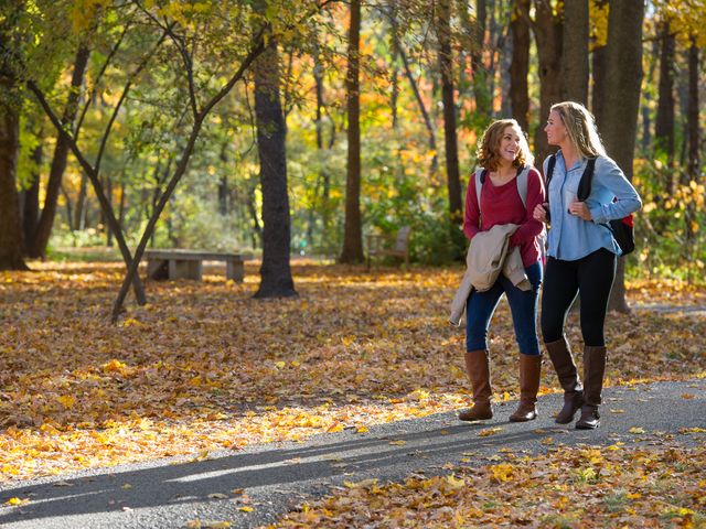 Photo of Southern Illinois University-Edwardsville
