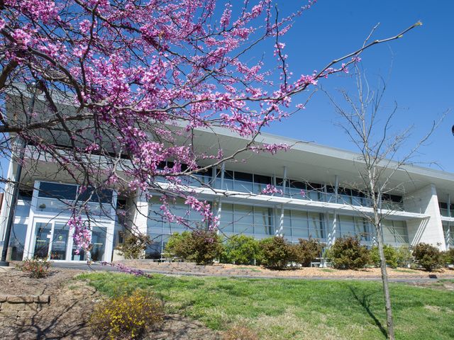 Photo of Southern Illinois University-Edwardsville