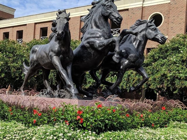 Photo of Southern Methodist University