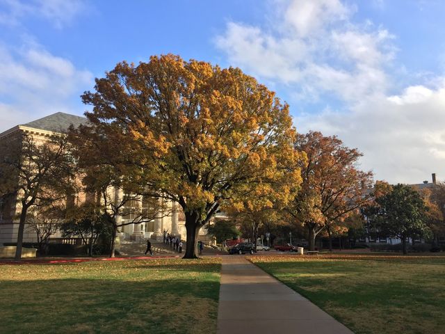 Photo of Southern Methodist University