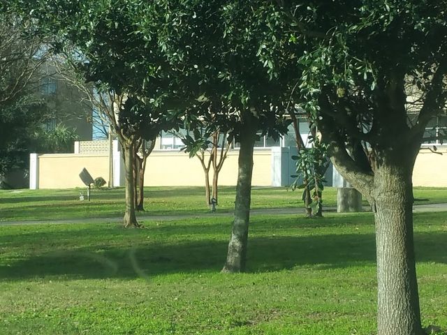 Photo of Southern University at New Orleans