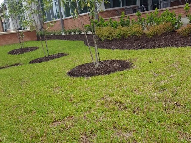 Photo of SOWELA Technical Community College