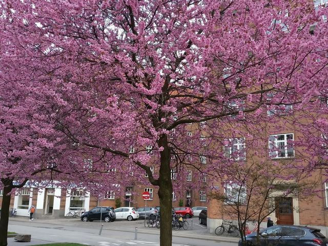 Photo of Sønderboulevard Playground