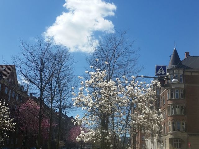 Photo of Sønderboulevard Playground