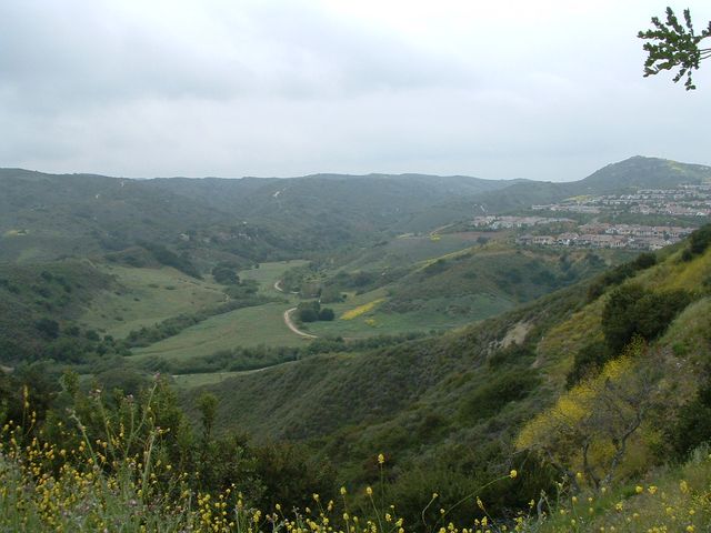 Photo of Soka University of America