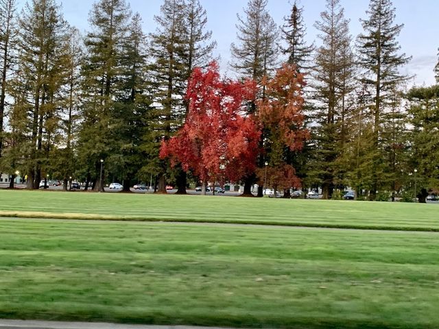 Photo of Sonoma State University