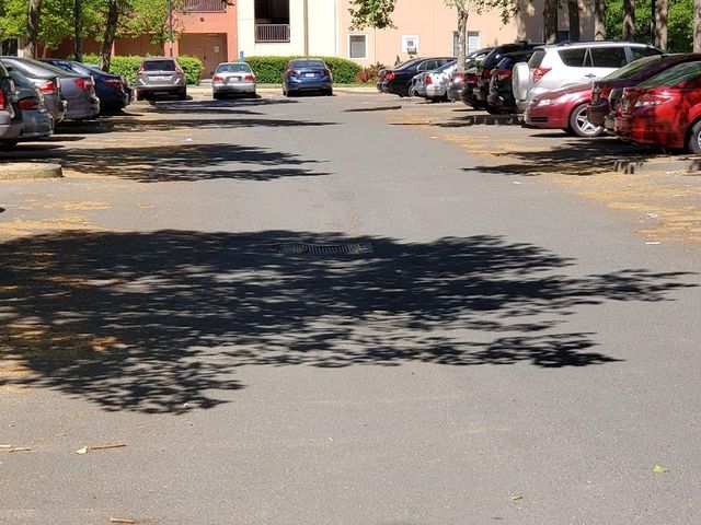 Photo of Sonoma State University