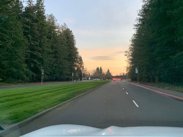 Photo of Sonoma State University