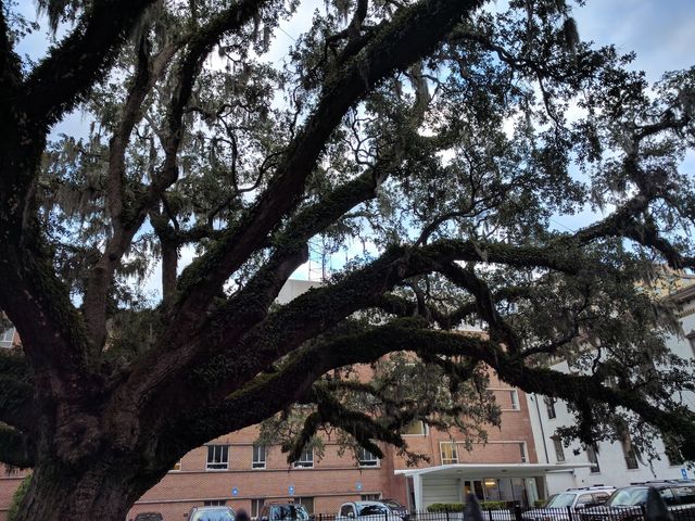 Photo of Savannah Law School