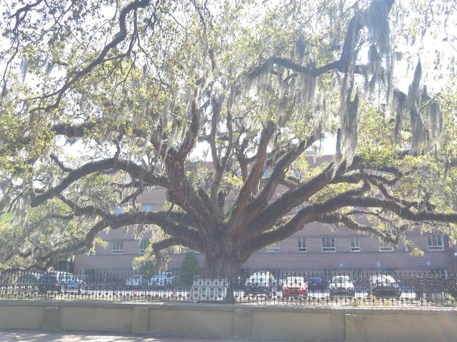 Photo of Savannah Law School