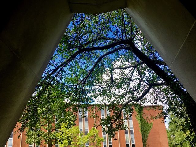 Photo of Sacred Heart Seminary and School of Theology