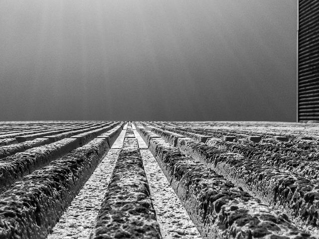 Photo of Saddleback College