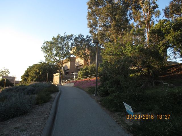 Photo of Saddleback College