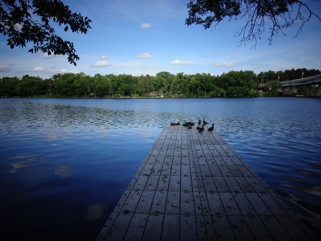 Photo of Saint Cloud State University