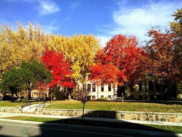Photo of Saint Cloud State University