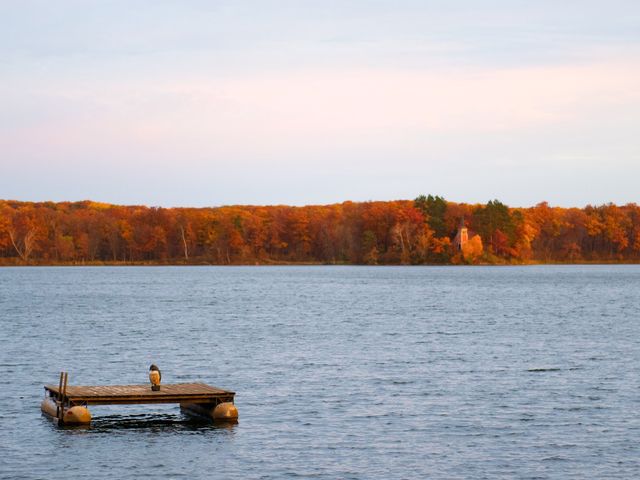 Photo of Saint Johns University