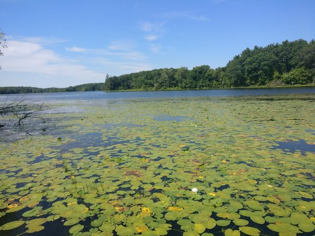 Photo of Saint Johns University