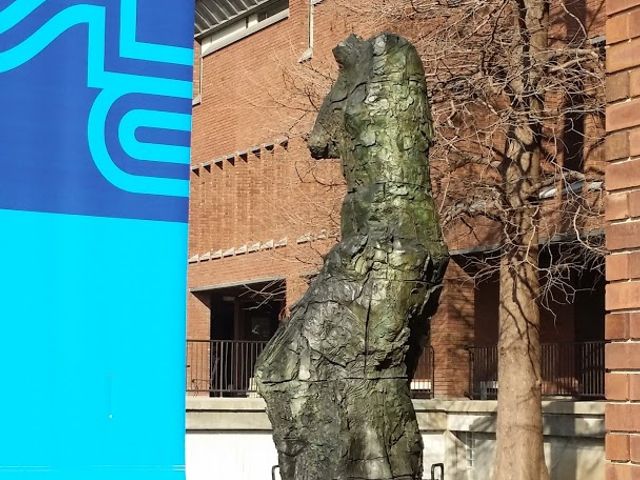 Photo of Saint Louis Community College