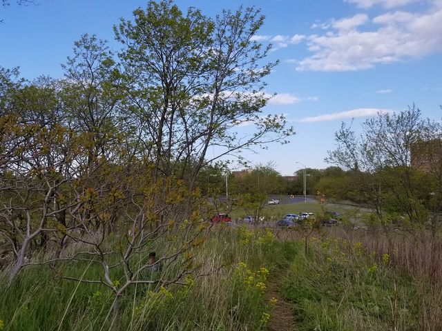 Photo of Saint Peter's University