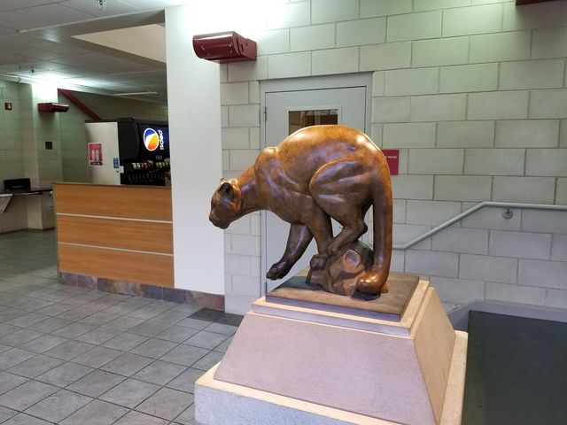 Photo of Saint Xavier University