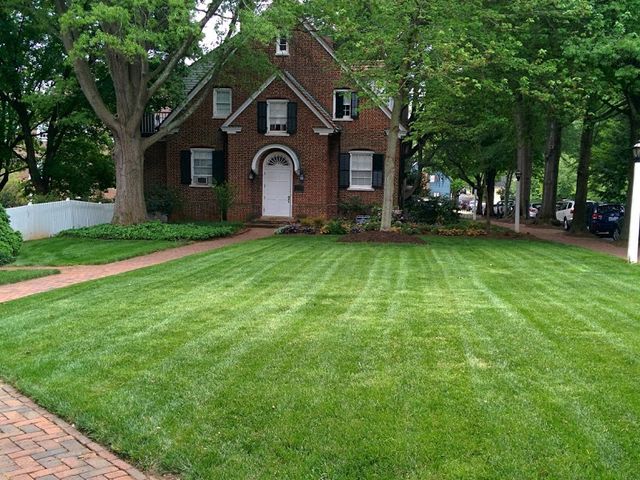 Photo of Salem College