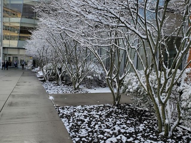 Photo of Salem State University