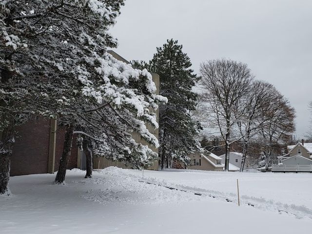 Photo of Salem State University