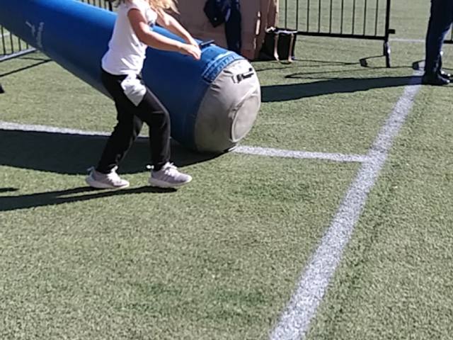 Photo of Samford University