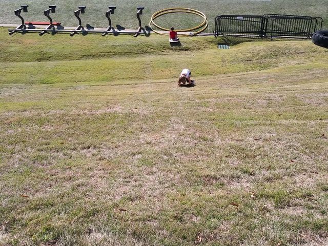 Photo of Samford University