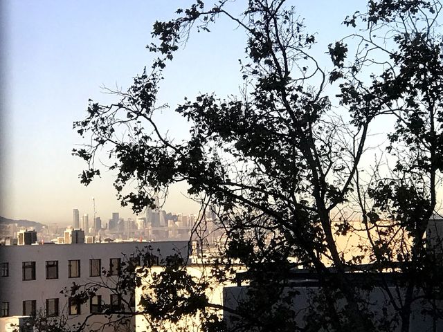 Photo of Samuel Merritt University