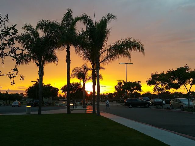 Photo of San Diego Miramar College