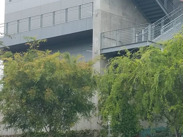 Photo of San Diego Community College District-District Office