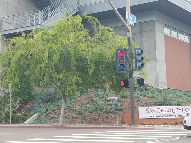 Photo of San Diego Community College District-District Office