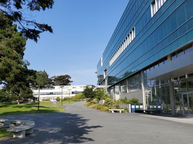 Photo of San Francisco State University